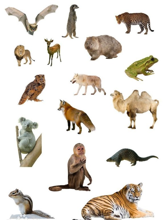 image.png image.png