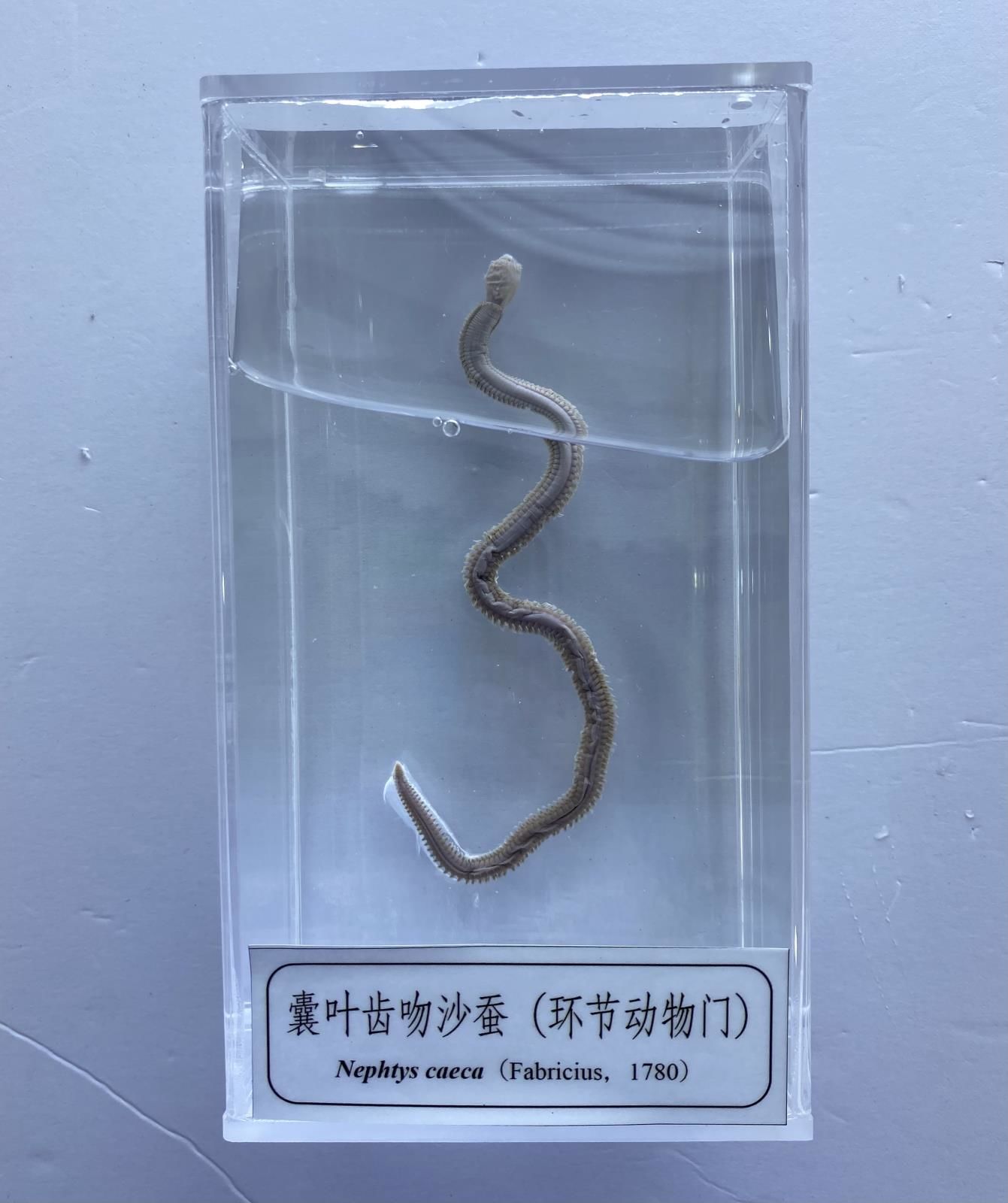 微信图片_20230625113001.jpg