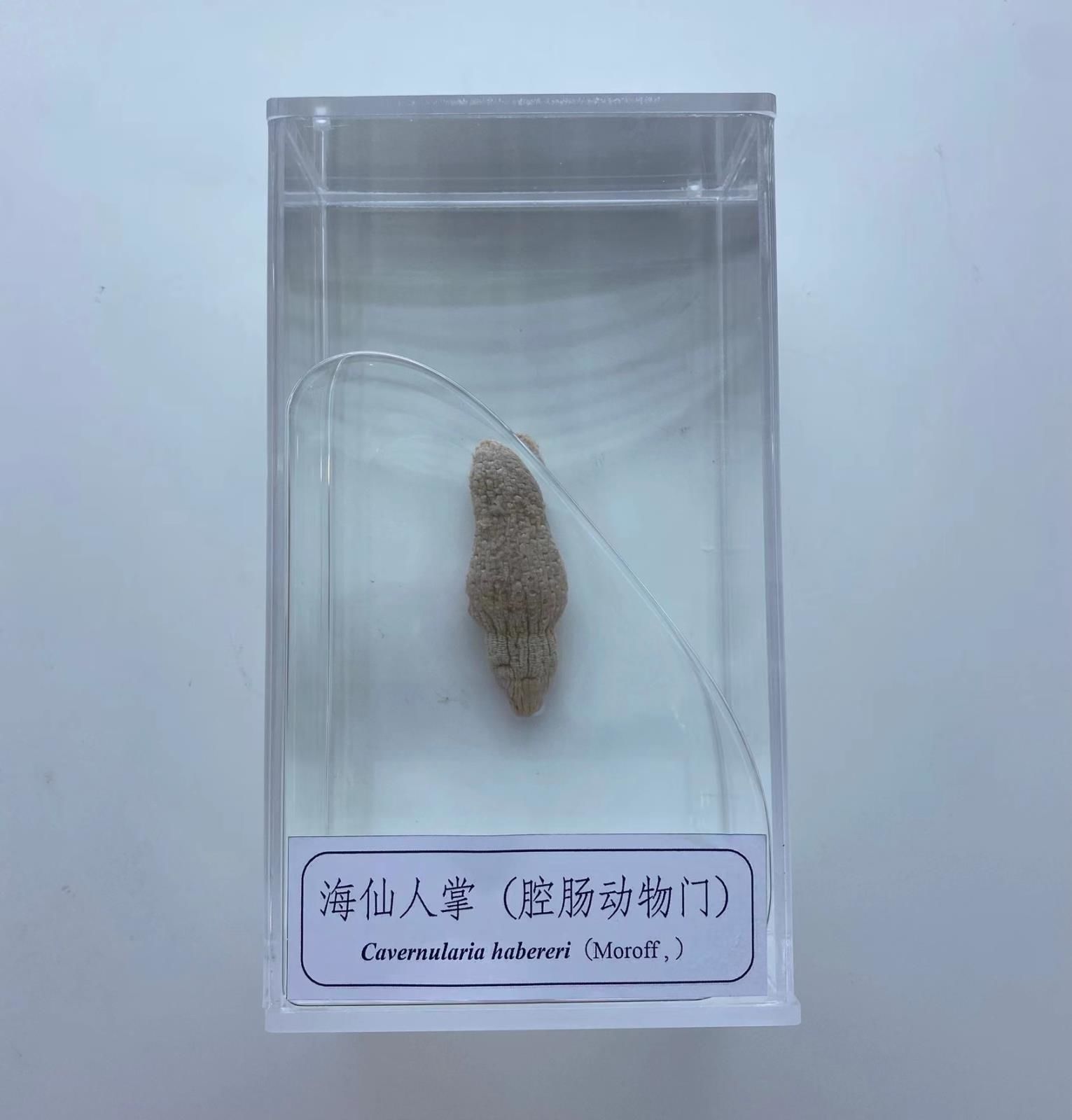 微信图片_20230831150009.jpg