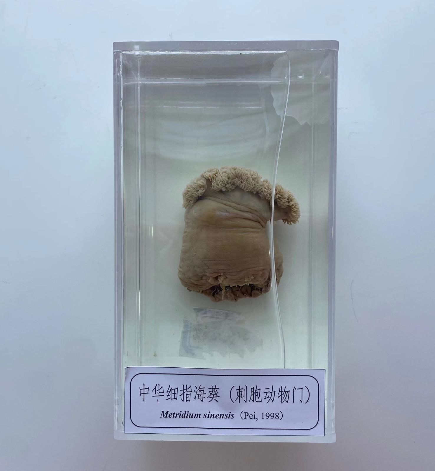 微信图片_20230831150904.jpg