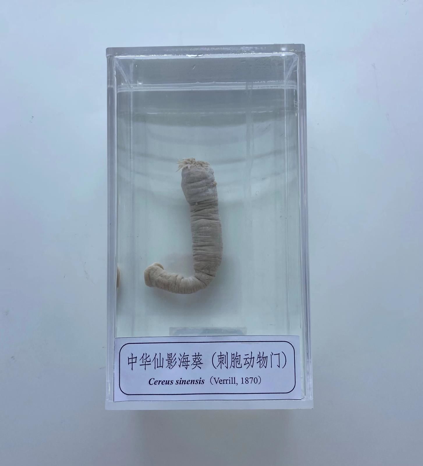 微信图片_20230831151206.jpg