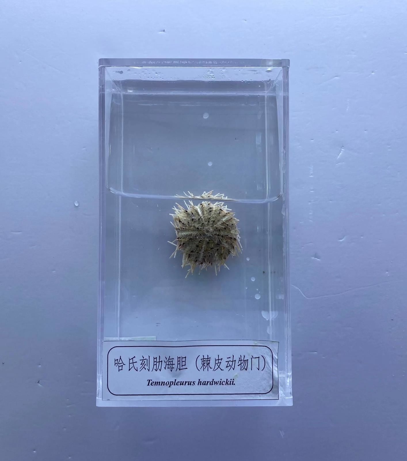微信图片_20230831150900.jpg