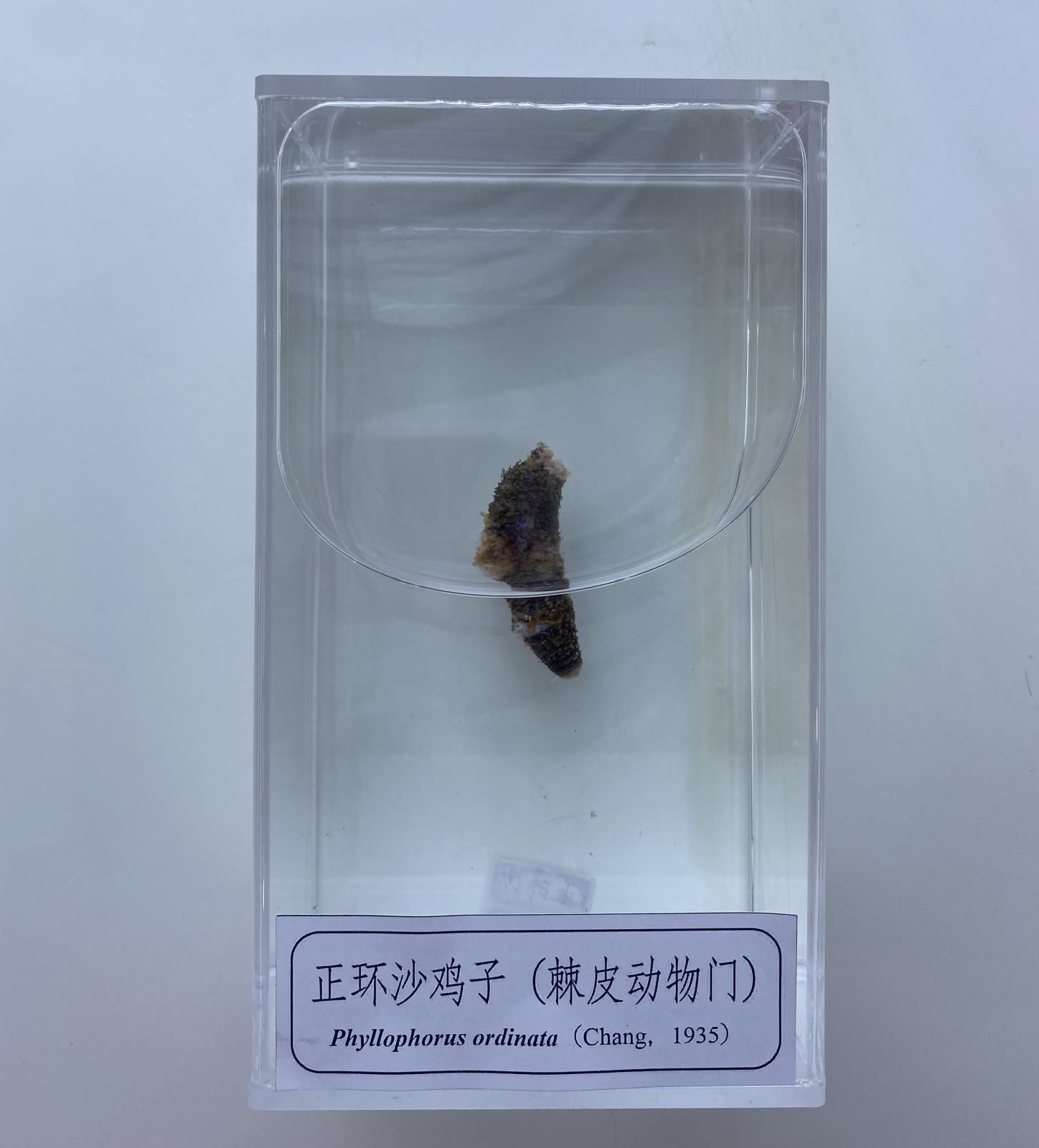 微信图片_20230625115400.jpg