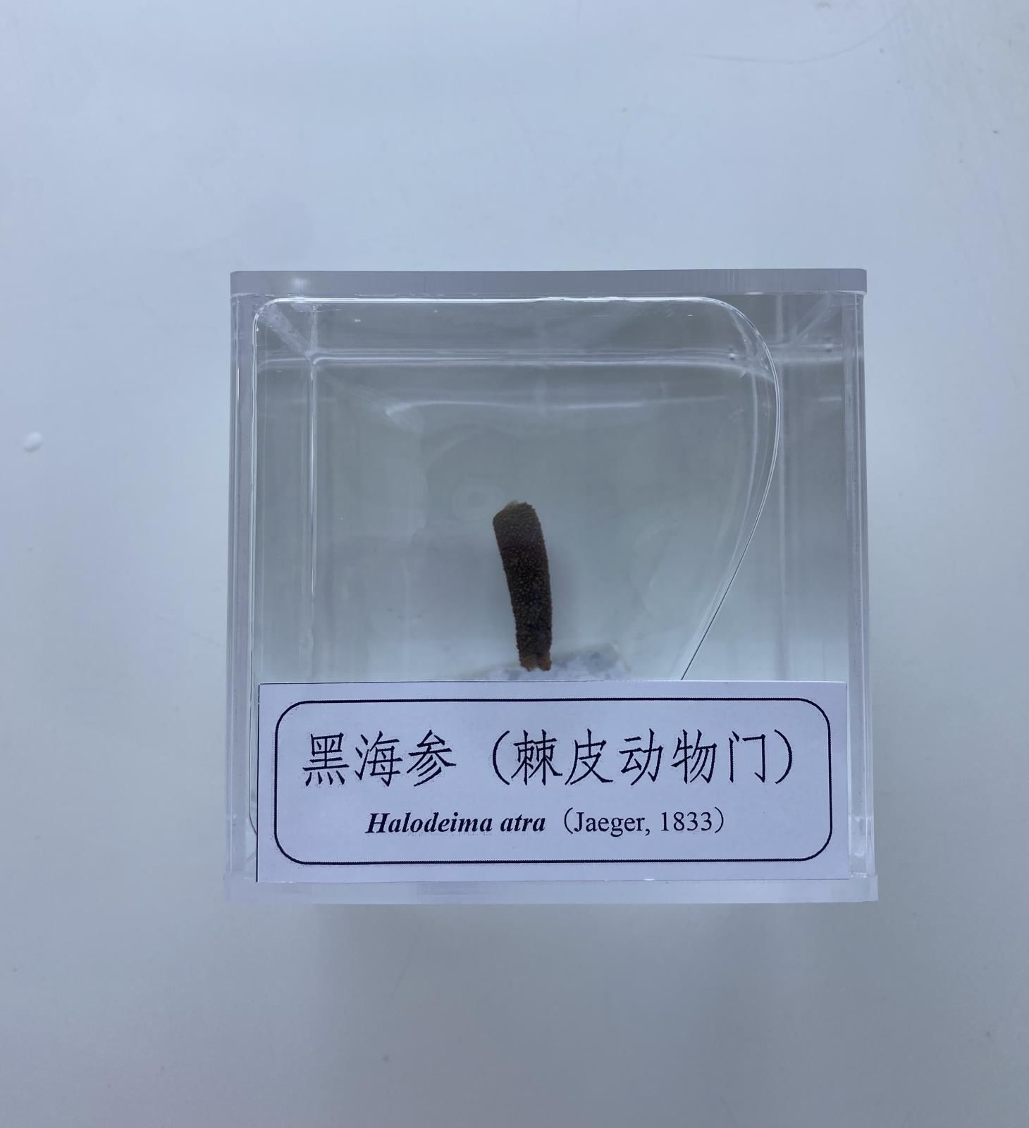 微信图片_20230625115400_1.jpg