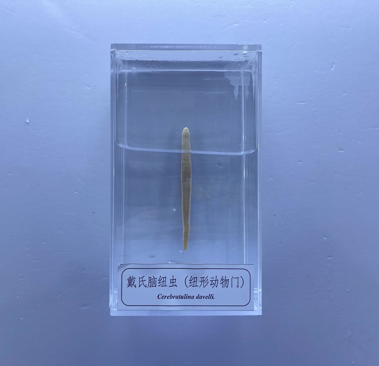 微信图片_20230625115405.jpg
