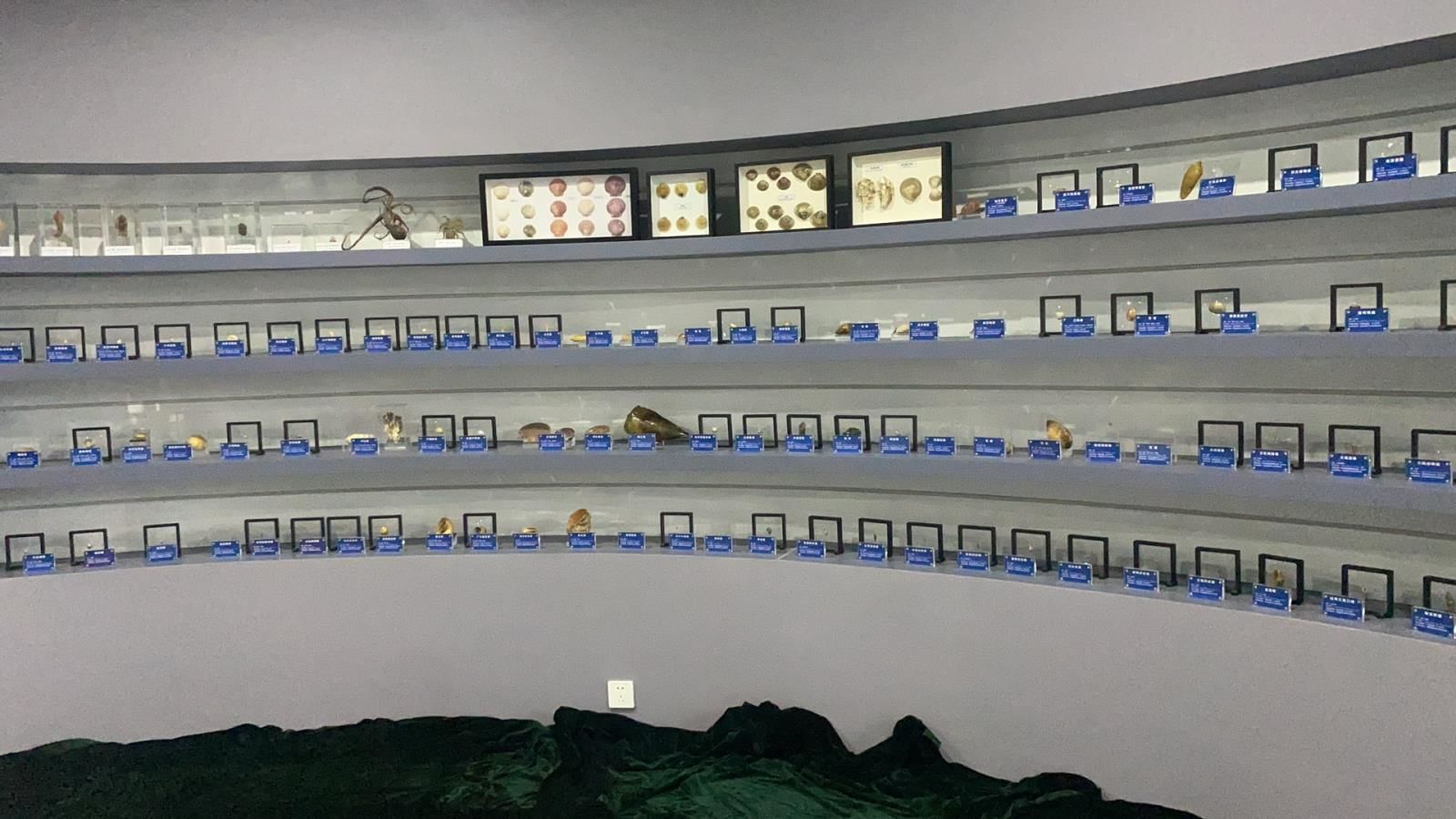 微信图片_20231009142840.jpg
